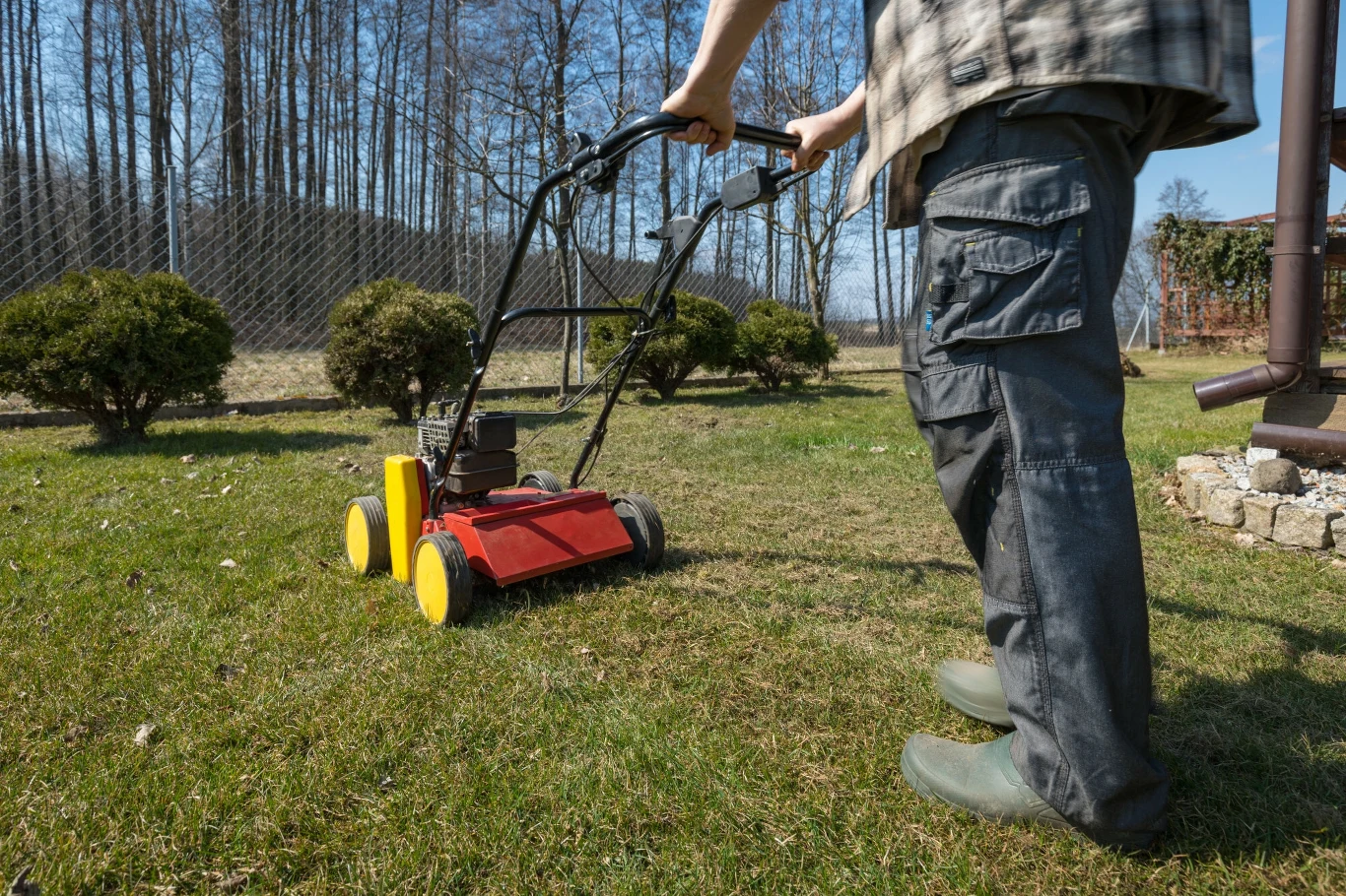 Na czym polega wertykulacja trawnika? Na czym polega wertykulacja trawnika?