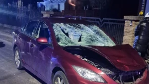 Wjechał w trzyosobową rodzinę, zmarłą 15-latka