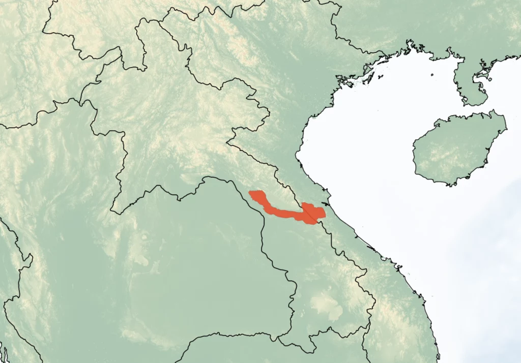 Miejsce występowania skamielinowca laotańskiego