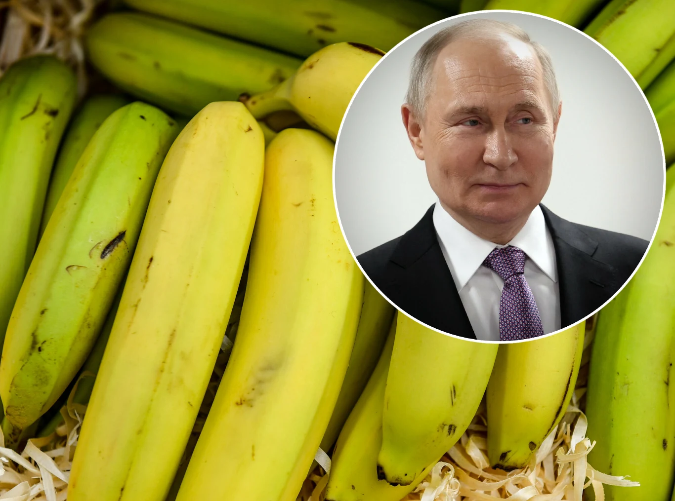 Rosja zakazała importu bananów z Ekwadoru Rosja zakazała importu bananów z Ekwadoru