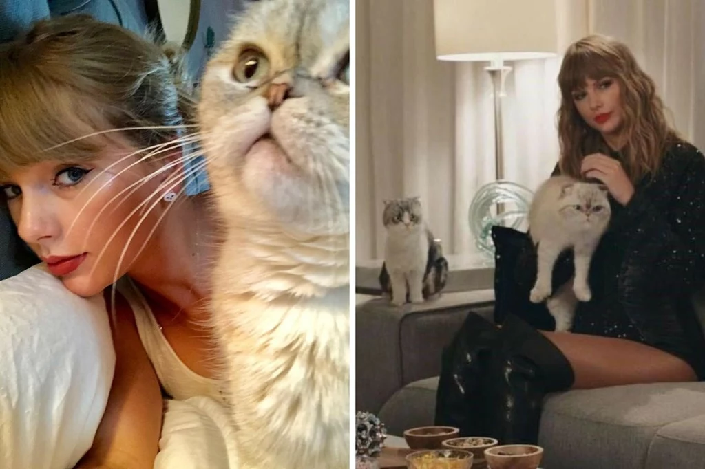 Taylor Swift kocha koty. Sama ma trójkę - to Olivia, Meredith i Benjamin 