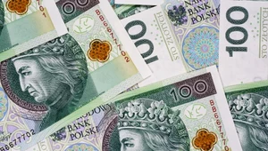 Dodatek emerytalny na psa. Wypłacają 280 zł miesięcznie