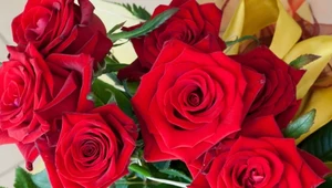 Jak zasuszyć róże, żeby nie straciły koloru i kształtu? Pomoże popularny kosmetyk 