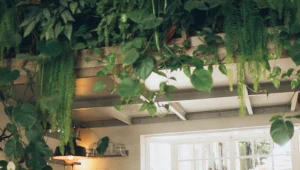 Prywatna dżungla w mieszkaniu czyli ogród wertykalny