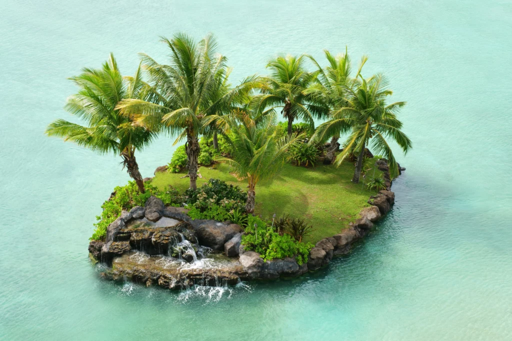 Co zabierzesz na bezludną wyspę?