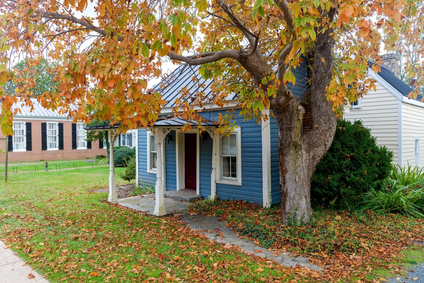 Wysokie drzewa są piękną dekoracją domu. Mogą jednak negatywnie wpływać na jego stabilność, gdy rosną zbyt blisko. Których gatunków lepiej unikać? Wysokie drzewa są piękną dekoracją domu. Mogą jednak negatywnie wpływać na jego stabilność, gdy rosną zbyt blisko. Których gatunków lepiej unikać?