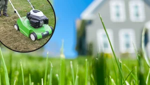 Bez tego zabiegu możesz zapomnieć o bujnym trawniku. Najlepiej wykonać go w tym terminie