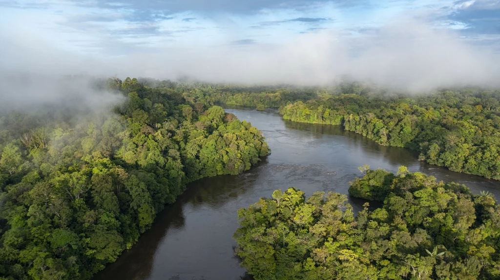 Ciemne chmury zbierają się nad Amazonią