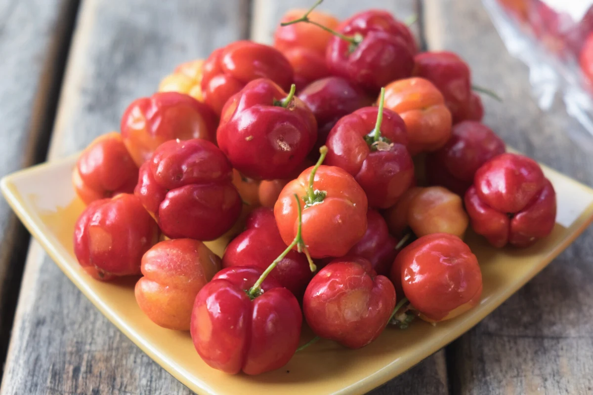 Owoce aceroli nadają się do spożycia tylko przez 2-3 dni od zerwania, dlatego najczęściej można ją dostać w postaci soku, tabletek do ssania czy też proszku. 