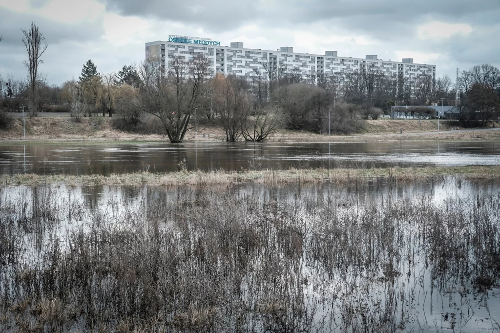 Warta rozlała się w Poznaniu. Stan alarmowy został przekroczony