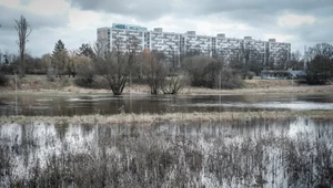 Anomalia w Poznaniu. Rzeka Warta ma najwyższy poziom od lat