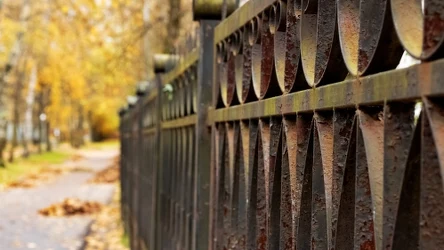Jak usunąć rdzę z ogrodzenia? Możesz to zrobić domowym sposobem.