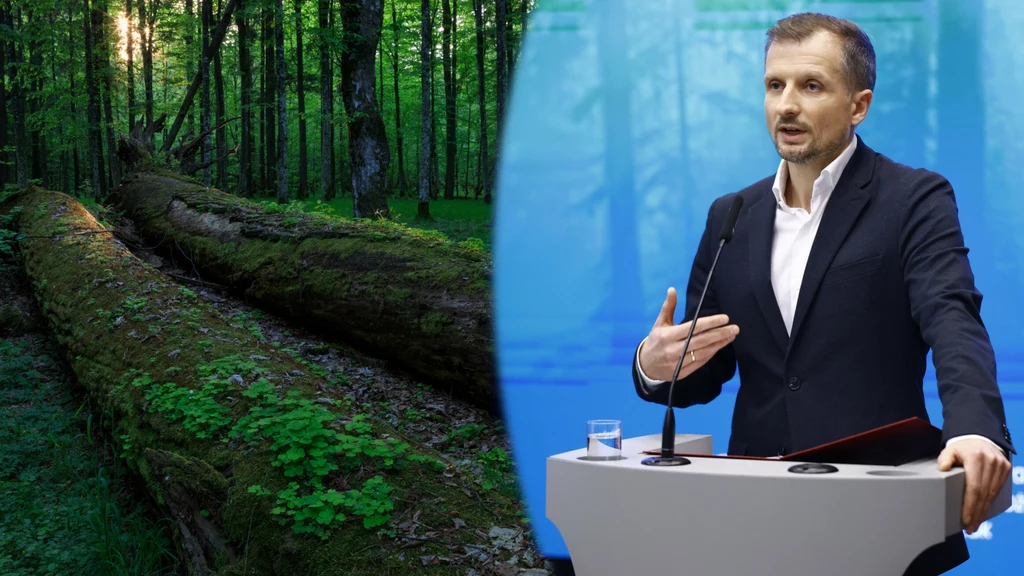 Wiceminister klimatu i środowiska Mikołaj Dorożała zapewnił w rozmowie z mediami, że już wkrótce 20 proc. lasów w Polsce będzie objęta ochroną. To "perspektywa miesięcy" - zapowiedział
