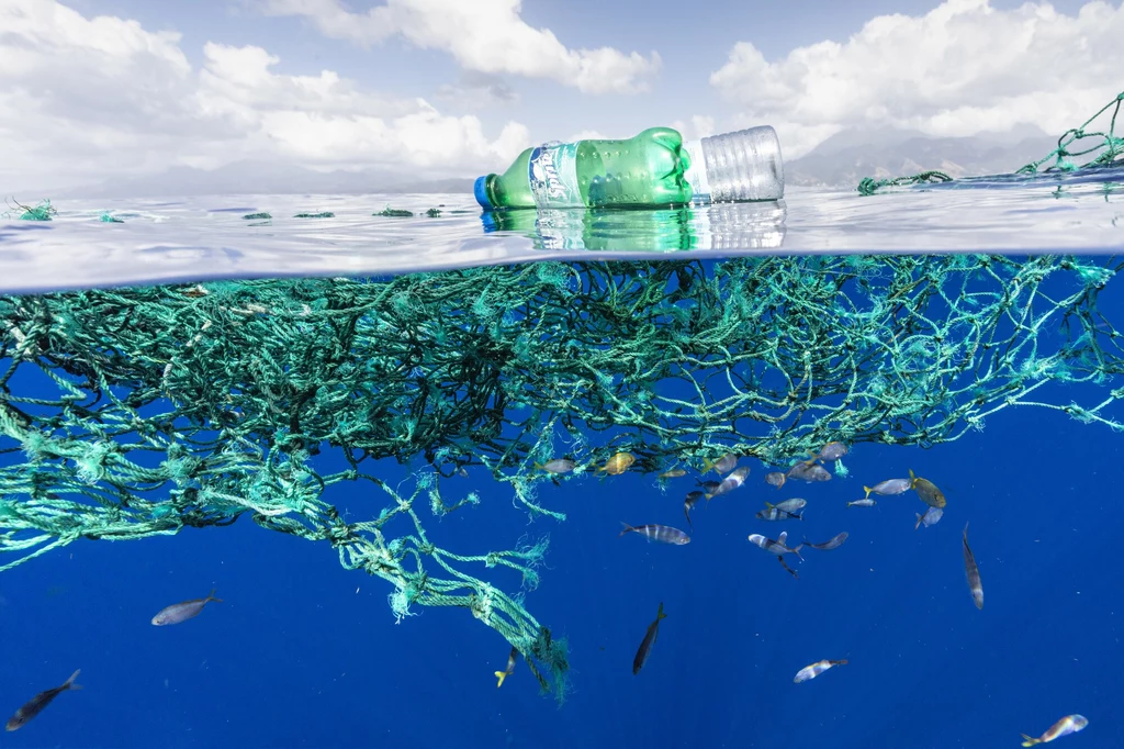 Śmieci unoszące się na powierzchni oceanu tworzą zabójczy ekosystem