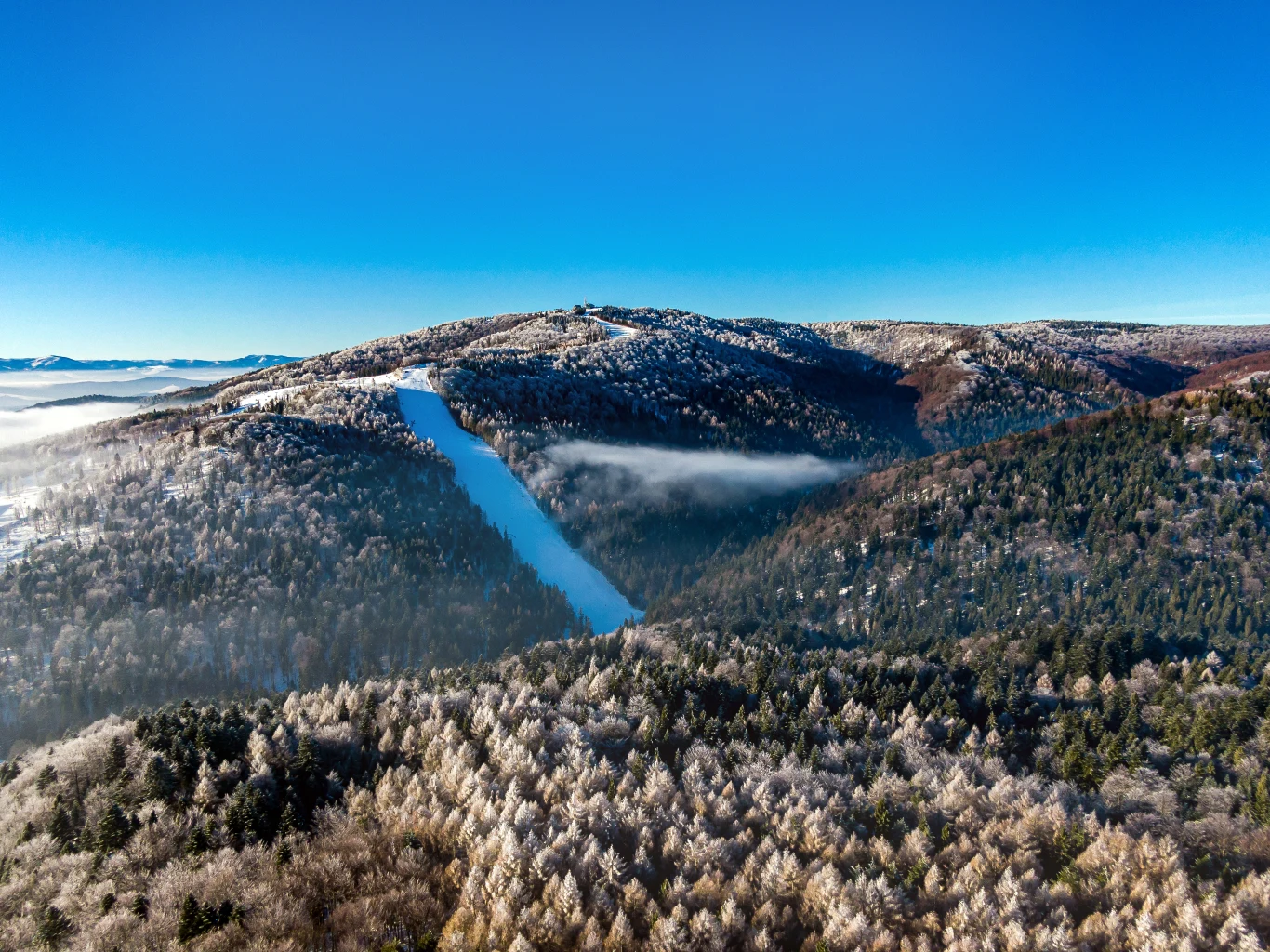 Jaworzyna Krynicka