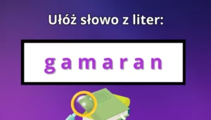 Test IQ: Zagadka słowna, w której musisz wykazać się kreatywnością. Masz na to 10 sekund