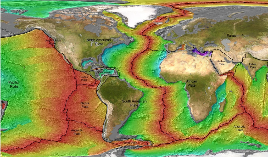 Skorupa oceaniczna 