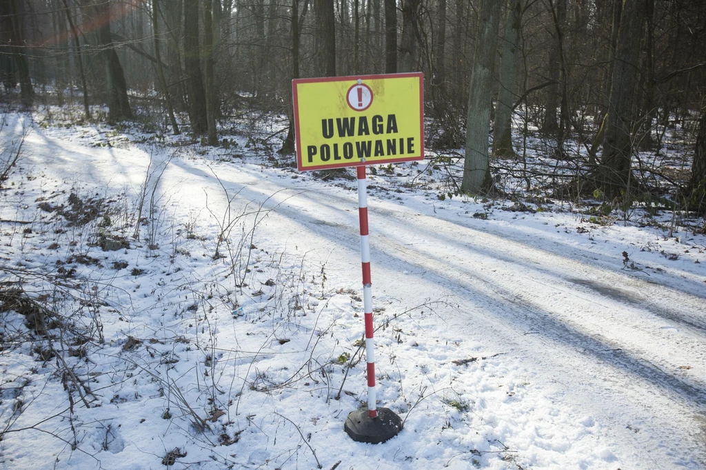 W odpowiedzi na wieloletnie apele przyrodników i strony społecznej wiceminister klimatu i środowiska Mikołaj Dorożała poinformował niedawno o zmianach, jakie zajdą w kwestii polowań. Polski Związek Łowiecki zareagował "kategorycznym sprzeciwem na działania ministerstwa"