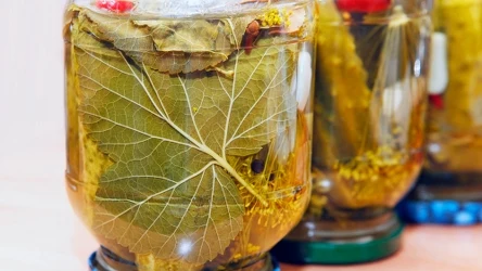 Ogórki kiszone wyjdą chrupiące i smaczne, jeśli dodasz do nich liście wiśni i porzeczki. 