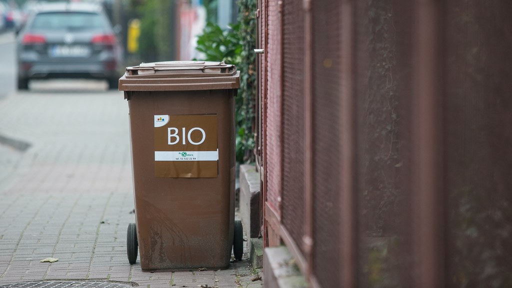 Co powinniśmy wyrzucać do pojemników na bioodpady? Mogą być one bardzo cenne