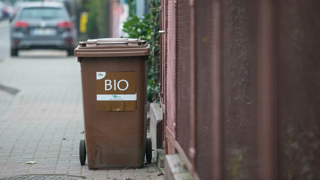 Co powinniśmy wyrzucać do pojemników na bioodpady? Mogą być one bardzo cenne