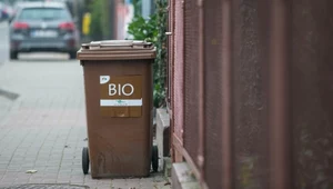 Po co nam brązowe pojemniki na odpady? Polacy nadal mają z nimi problem
