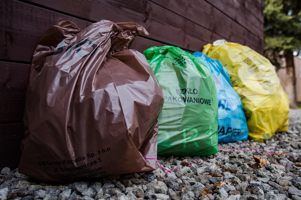Odpady bio (brązowy worek) to jeszcze stosunkowo nowa frakcja na naszych śmietnikach. Dlaczego warto je segregować?
