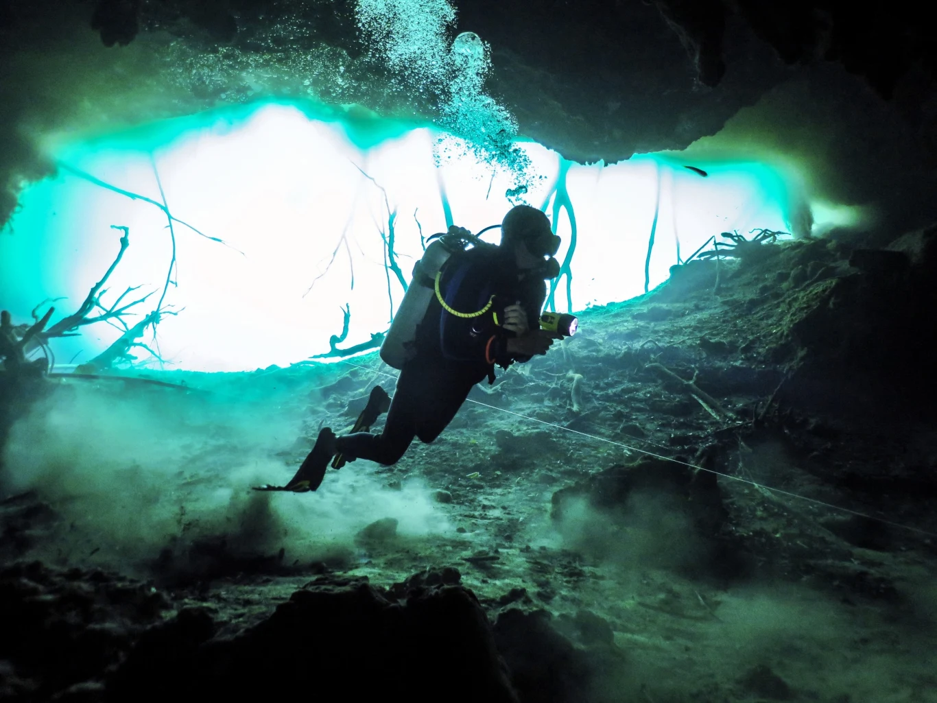 Tysiące nowych gatunków na głębokości prawie 10 km. Naukowcy zaskoczeni różnorodnością życia na dnie oceanu Tysiące nowych gatunków na głębokości prawie 10 km. Naukowcy zaskoczeni różnorodnością życia na dnie oceanu