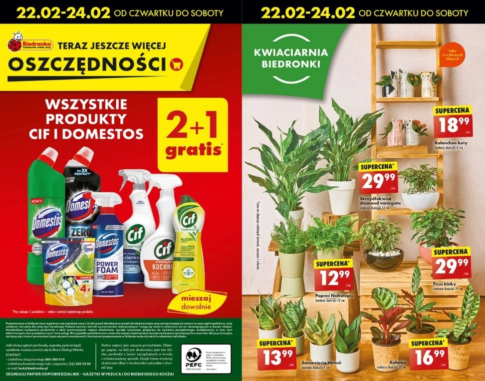 Biedronka rozdaje w gratisie produkty Cif i Domestos!