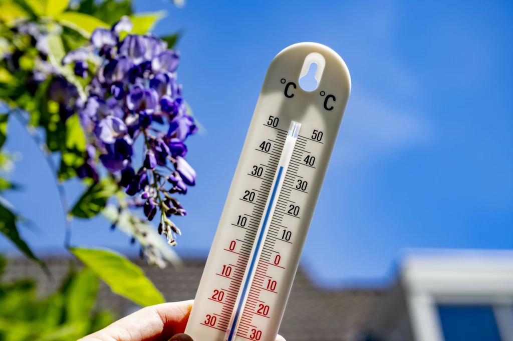 20 stopni Celsjusza okazuje się najbardziej optymalną temperaturą dla życia