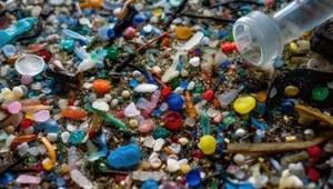 Mikroplastik skaża kolejne warstwy geologiczne. To zagrożenie dla nauki