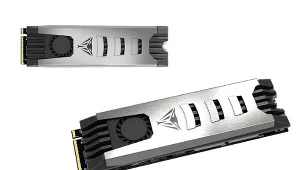 Patriot Memory PV553