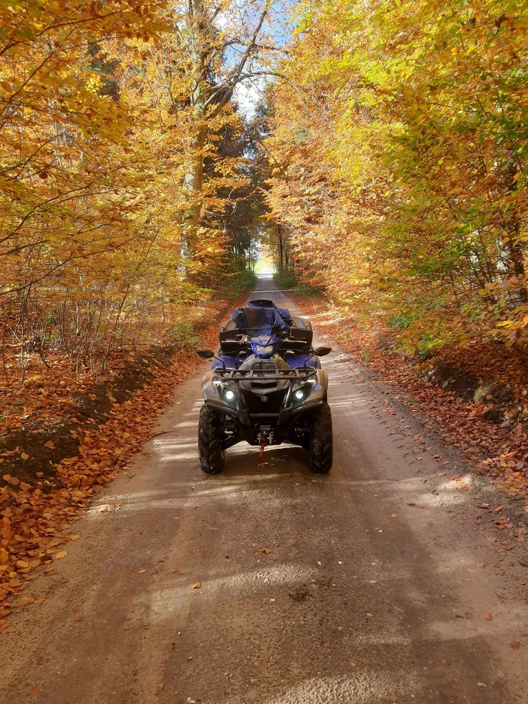 Yamaha Kodiak 700 