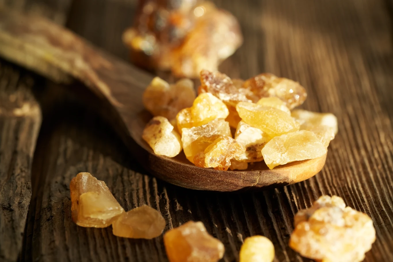 Boswellia serrata to drzewo, które jest źródłem cennej żywicy o właściwościach prozdrowotnych i aromaterapeutycznych
