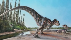 Najstarszy dinozaur właśnie skończył 200 lat. Nic się nie zgadzało
