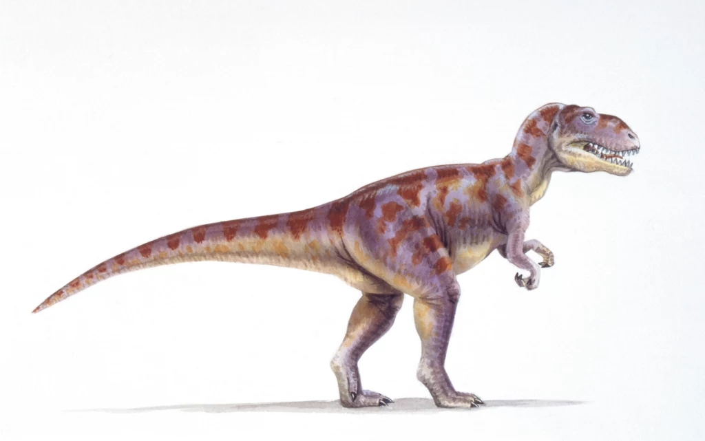 Współczesne wyobrażenie megalozaura. Jurajski drapieżnik mierzył 9 metrów