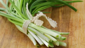 Chcesz posadzić cebulę dymkę? Nie przegap tego terminu, a szybko zbierzesz szczypior do kanapek