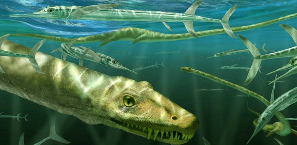 Dinocephalosaurus był długoszyim gadem, który prawdopodobnie jako jeden z pierwszych porzucił ląd całkowicie