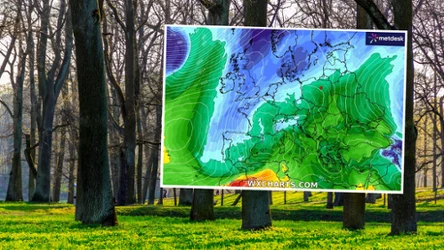 Poniedziałek będzie bardzo ciepły: miejscami będzie nawet 16 stopni Celsjusza. Wydano też alert IMGW z powodu gęstych mgieł