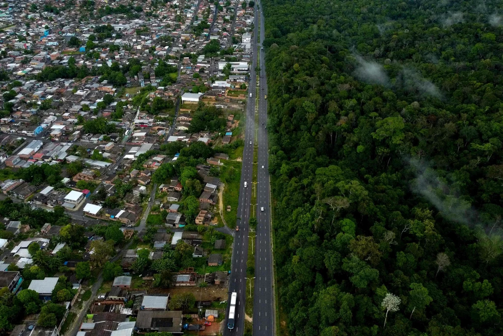 Wycinka drzew w Brazylii ma zostać powstrzymana
