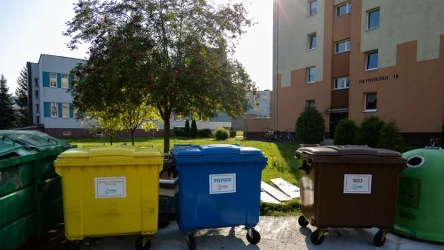 ​Nowe zasady segregacji śmieci. Za pomyłki grożą surowe kary