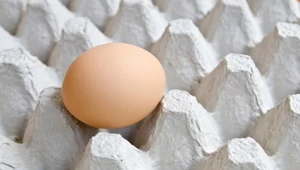 Jajka "zerówki" są zdrowsze niż z chowu klatkowego? Zaskakujące wyniki badań