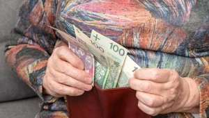 Tak wzrasta emerytura po roku pracy. ZUS pokazał dane.
