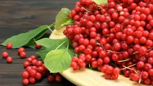 Dodają energii i siły, ale nie tylko. Adaptogeny działają też na mózg i wątrobę