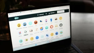UOKiK ma zastrzeżenia do funkcjonowania usługi "ochrona kupującego" oferowanej przez OLX