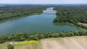 Projekt Nature Restoration Law zakłada, że do 2030 r. co najmniej 30 proc. obszarów morskich i lądowych Unii, a do 2050 r. - wszystkie ekosystemy wymagające odbudowy, mają zostać poddane działaniom naprawczym