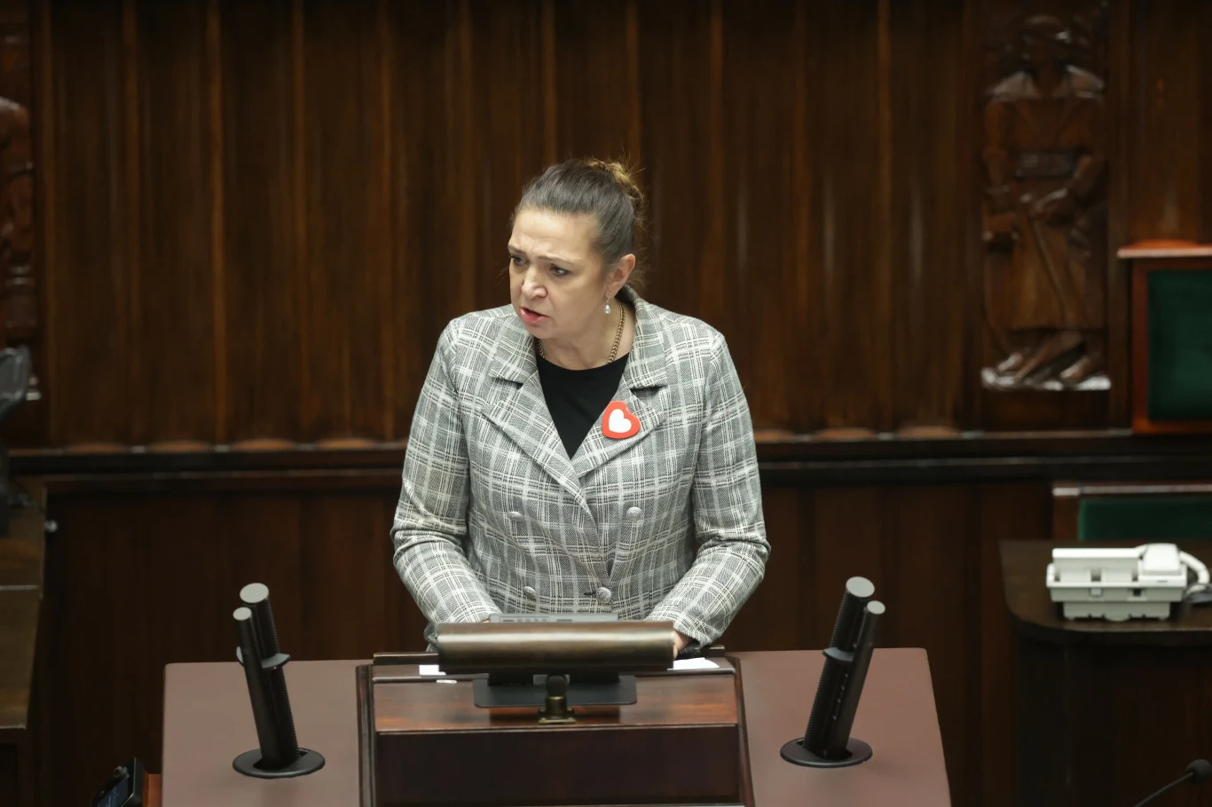 Małgorzata Niemczyk w Sejmie RP