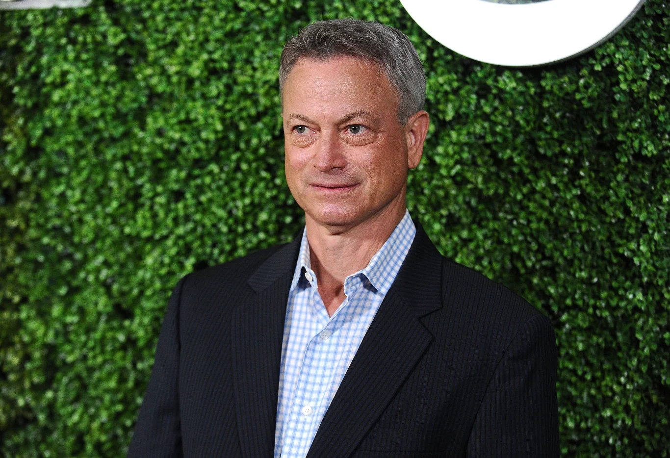 Gary Sinise Gary Sinise