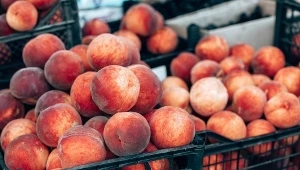 Mają mnóstwo błonnika, który koi jelita. Pomogą na alergie i nadciśnienie