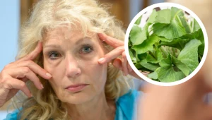 Walczysz z cellulitem, rozstępami lub zmarszczkami? Szukaj kremów i olejków z tym składnikiem